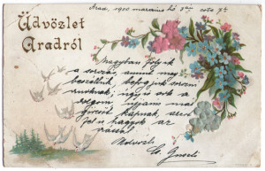 1900 - Arad, felicitare litho (jud.Arad)