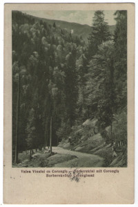1940 - Valea Vinului (jud. Bistrița-Năsăud)