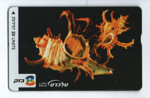 Israel 1996 - cartela telefonica folosita
