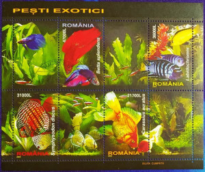 Romania 2005 - Pești exotici, bloc stampilat
