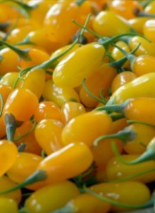 Goji galben Lycium barbarum AMBER SWEEt