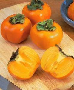 kaki JIRO disponibil din primavara