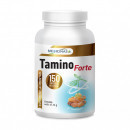 Tamino Forte