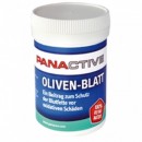 Panctive Oliven Blatt