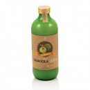 Graviola Juice 100 % puree