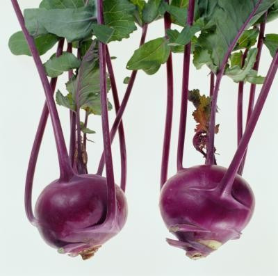 Gulie Purple