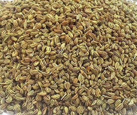 Anason-Pimpinella anisum