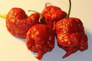 Ardei iute Carolina Reaper