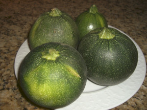 Dovlecel zucchini Piacenza Round Dark