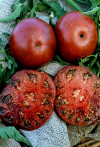 Tomate Black Krim