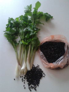 Alexanders-Smyrnium Olusatrum