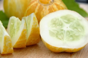 Castravete Lemon