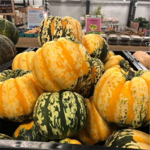 Dovleac decorativ Carnival Squash