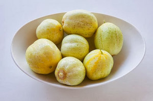 Castravete Lemon
