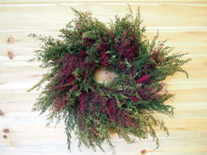 Pelinita-Artemisia Annua
