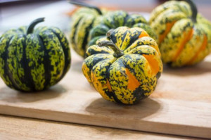Dovleac decorativ Carnival Squash