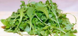Rucola-Eruca Sativa L.