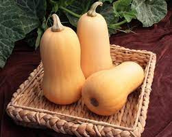 Dovleac placintar Butternut