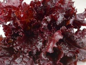 Salata Black Rose