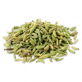 Fenicul-Foeniculum Vulgare