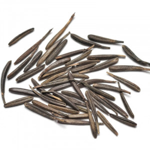 Hasmațuchi-Anthriscus cerefolium 