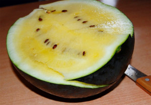Pepene verde cu miez galben Janosek