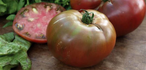 Tomate Ananas Black