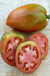 Tomate Speckled Roman