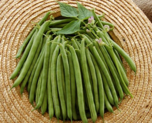 Fasole pitica fideluta verde