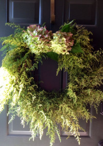 Pelinita-Artemisia Annua
