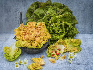 Salata Sanguine Amelioree