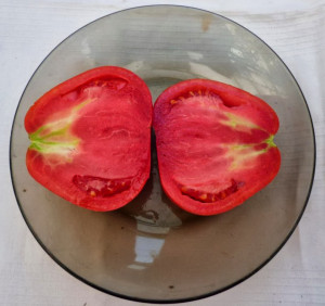 Tomate Coeur d'Albenga