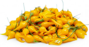Ardei iute Pimenta de Bico Yellow -