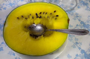 Pepene verde cu miez galben Janosek