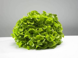 Salata verde creata Grand Rapido