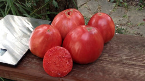 Tomate Inima de bou