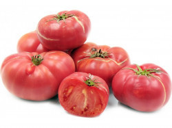 Розови домати оранжерия