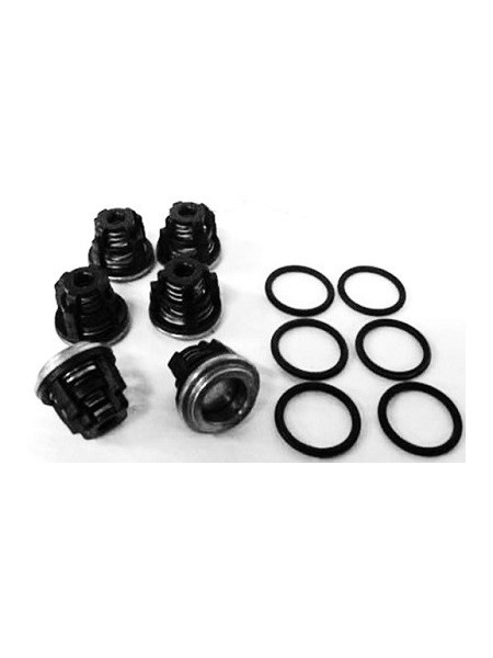 SUPAPE PRESIUNE - KIT 2780 ANNOVI REVERBERI