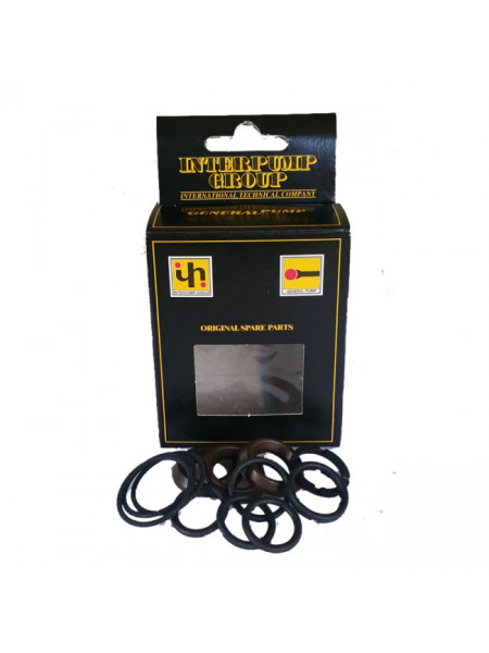 GARNITURI PRESIUNE - KIT 97 INTERPUMP