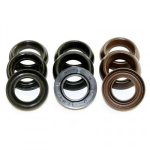 GARNITURI PRESIUNE - KIT 127 INTERPUMP