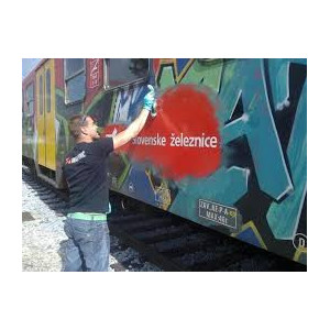 Solutie curatat vopsea si graffiti | SVG – 12l