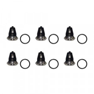 SUPAPE PRESIUNE - KIT 62 INTERPUMP
