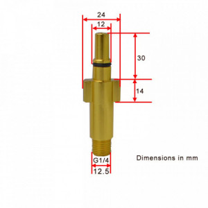 Adaptor lance spumare Bosch