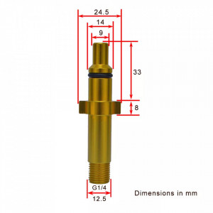Adaptor lance spumare Nilfisk vechi