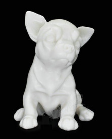 Silicon Dog