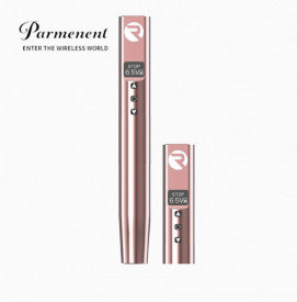 Disponibile Penna Wireless Magic PMU Colore Champagne 2 Batterie