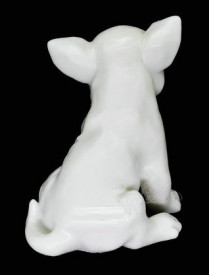 Silicon Dog