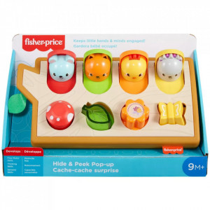Set de joaca, Fisher-Price Animale colorate