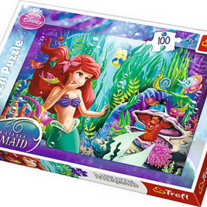 PUZZLE TREFL 100 ASCUNSELEA INTRE PRIETENI