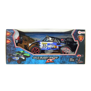 Masinuta cu Telecomanda Toi Toys - Wild Race Buggy 1:16, Albastru